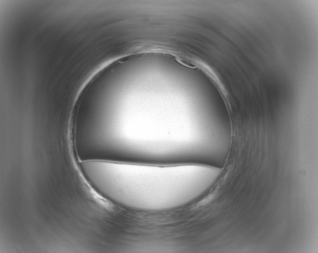 X0000069411149200605121042