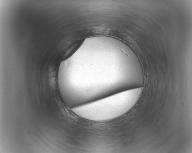 X0000069411154200605121041