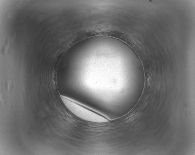 X0000069411156200605121041