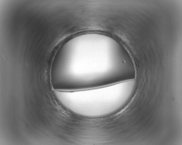 X0000069411163200605121041