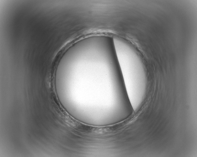 X0000069411165200605121041