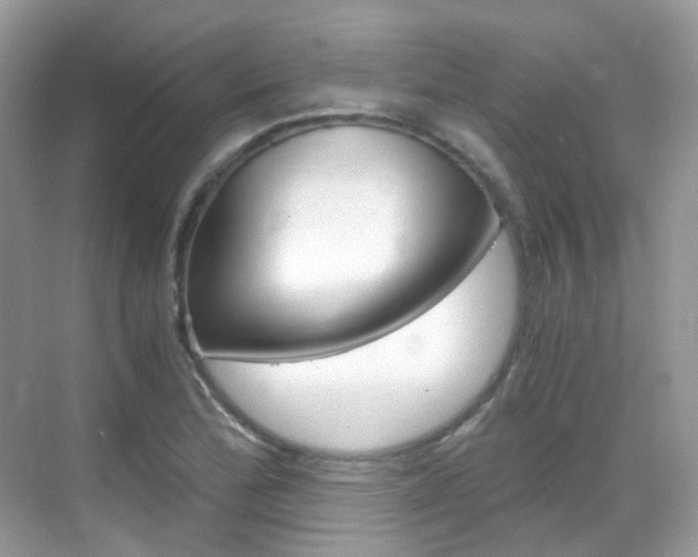 X0000069411172200605121041