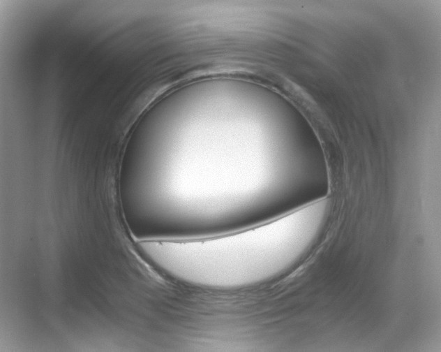 X0000069411177200605121041