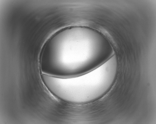 X0000069411184200605121041