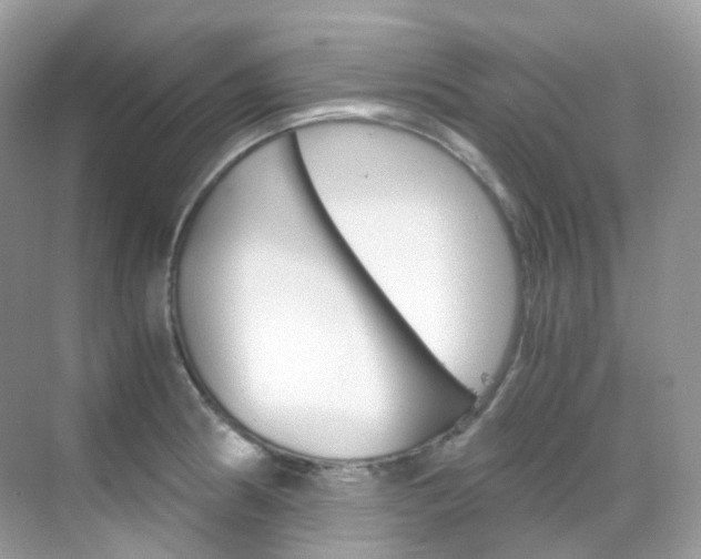 X0000069411186200605121041