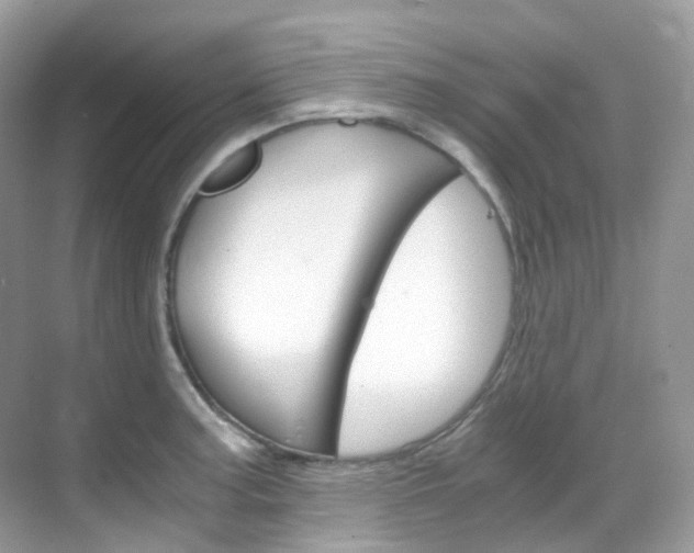 X0000069411187200605121041