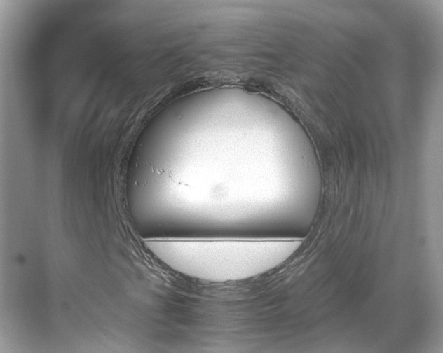 X0000069411201200605121040