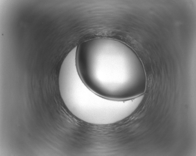 X0000069411202200605121040