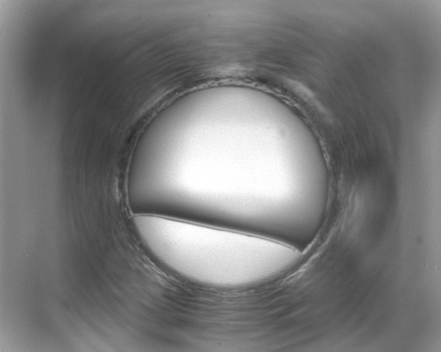 X0000069411209200605121040