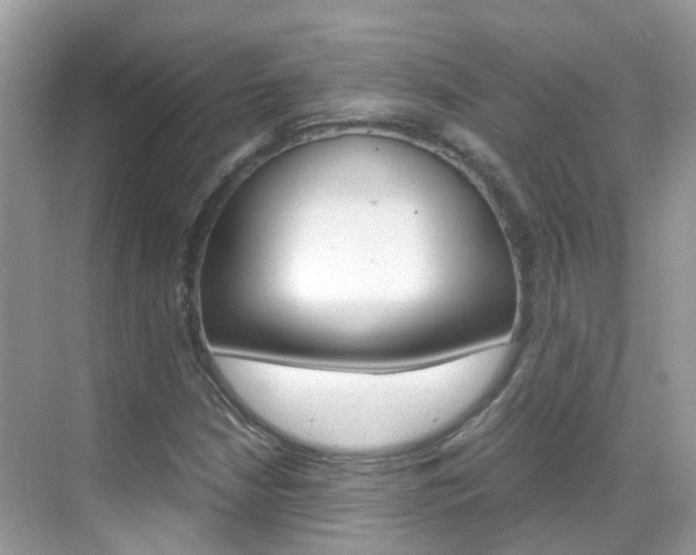 X0000069411210200605121040