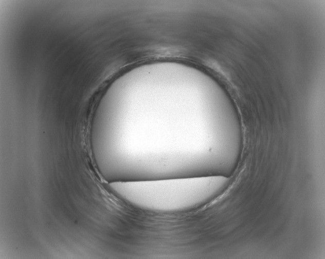 X0000069411211200605121040