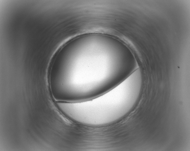 X0000069411230200605121040