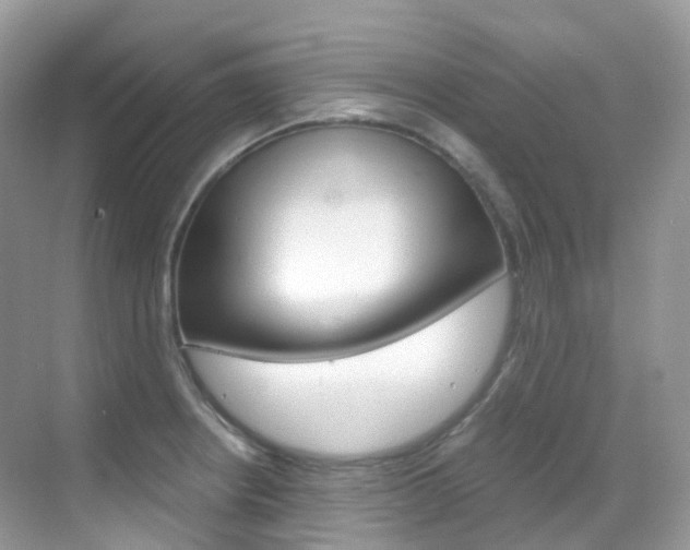 X0000069411234200605121040