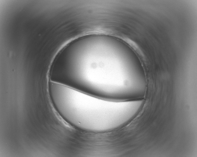 X0000069411238200605121040