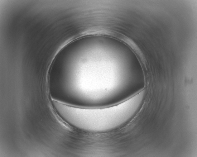 X0000069411242200605121041