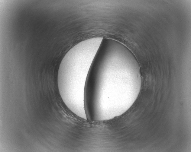 X0000069411250200605121040