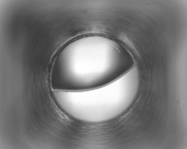 X0000069411260200605121040
