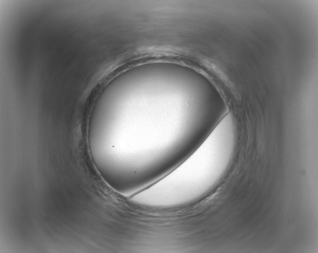 X0000069411261200605121040