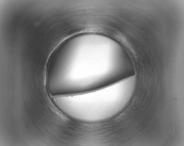 X0000069411276200605121039