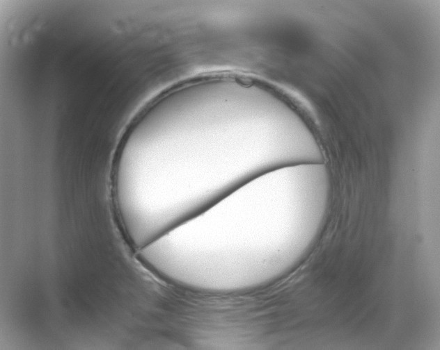 X0000069411279200605121039