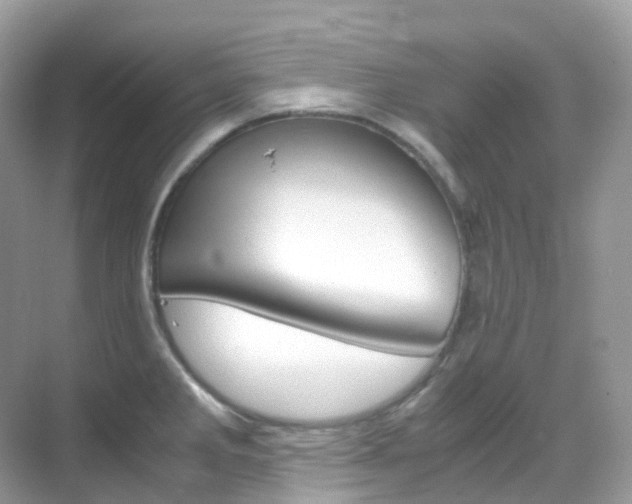 X0000069411285200605121039