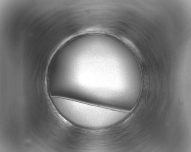 X0000069411288200605121039