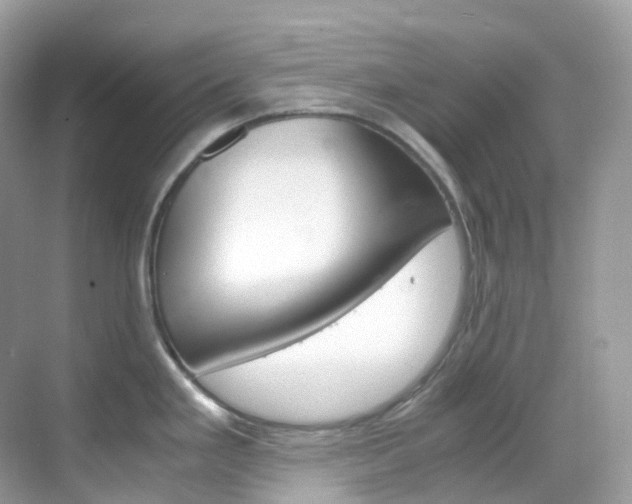 X0000069411293200605121039