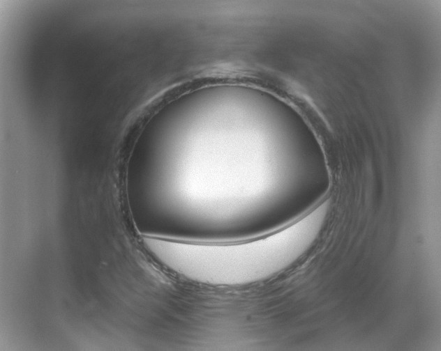 X0000069411304200605121038