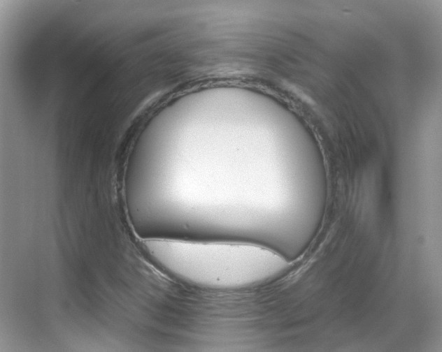 X0000069411306200605121038