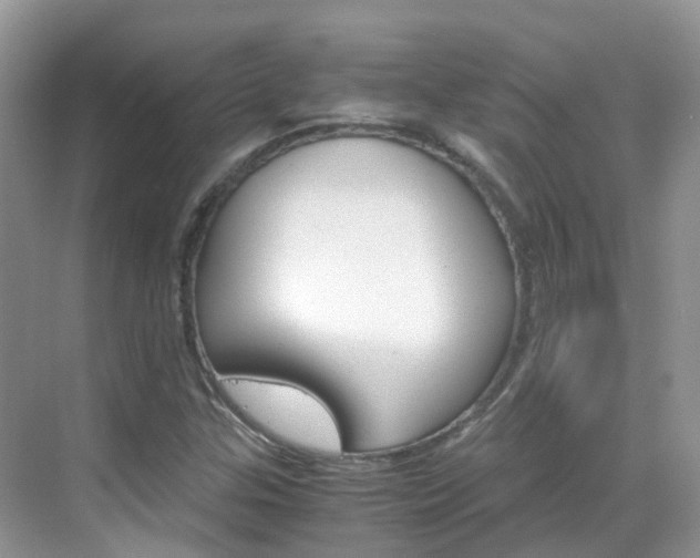 X0000069411307200605121038