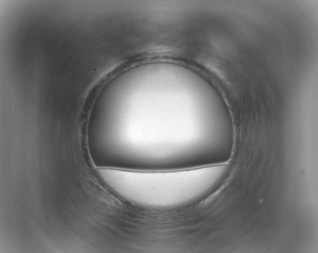 X0000069411309200605121038