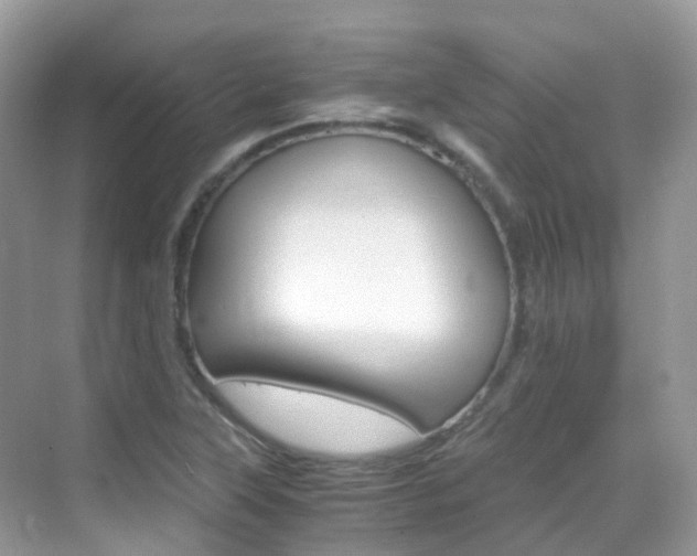X0000069411315200605121039