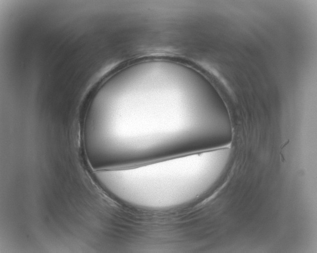 X0000069411317200605121039