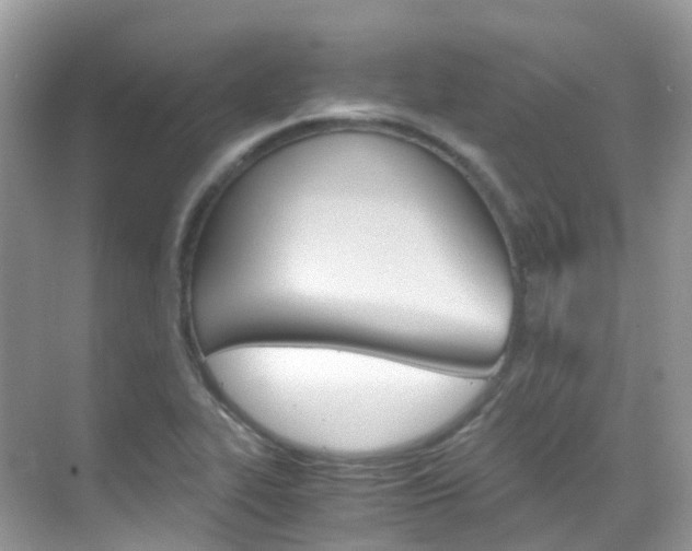 X0000069411319200605121039