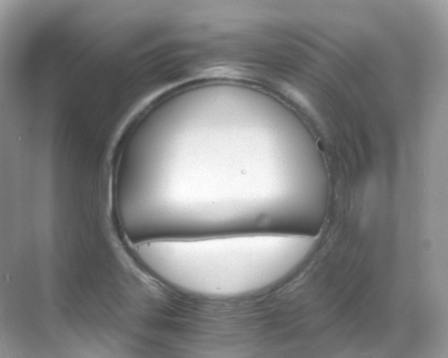 X0000069411323200605121039