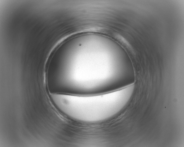 X0000069411324200605121039