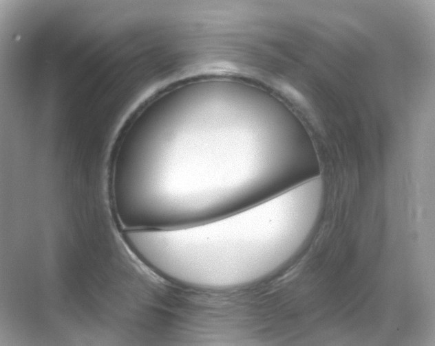X0000069411326200605121039