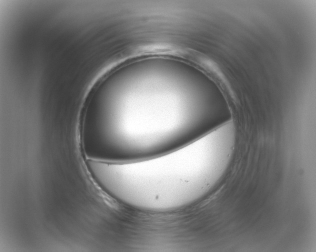X0000069411328200605121039