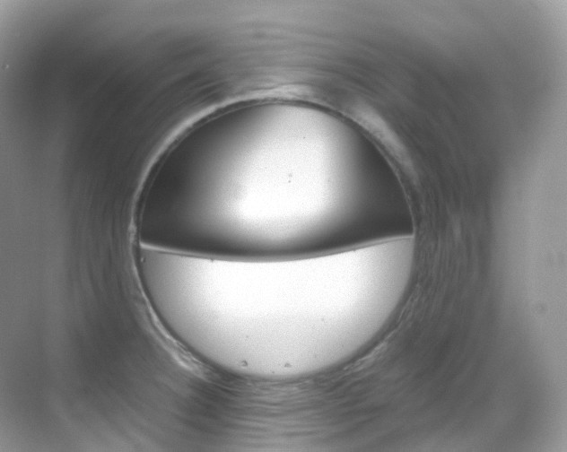 X0000069411332200605121039