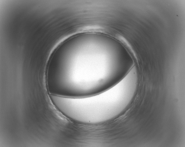X0000069411336200605121039