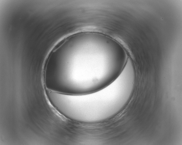 X0000069411342200605121039