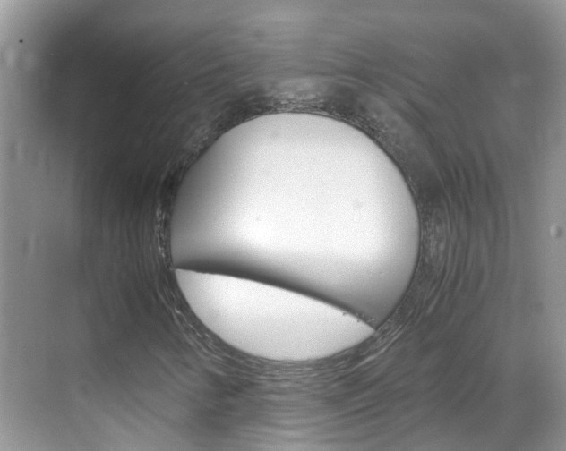 X0000069411346200605121038