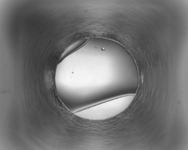 X0000069411347200605121038