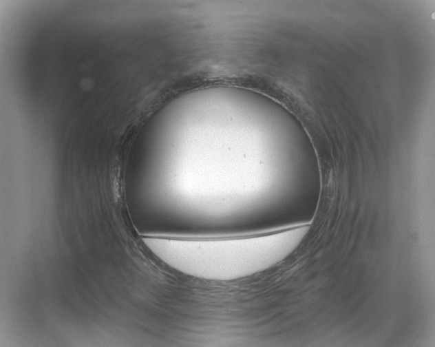 X0000069411348200605121038