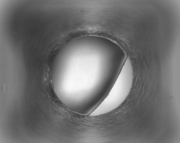 X0000069411349200605121038