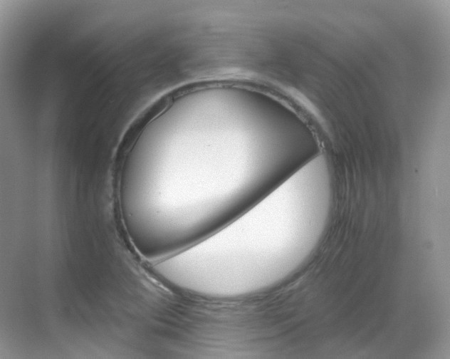 X0000069411364200605121038