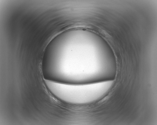 X0000069411369200605121038