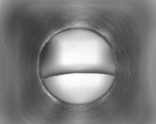 X0000069411374200605121038
