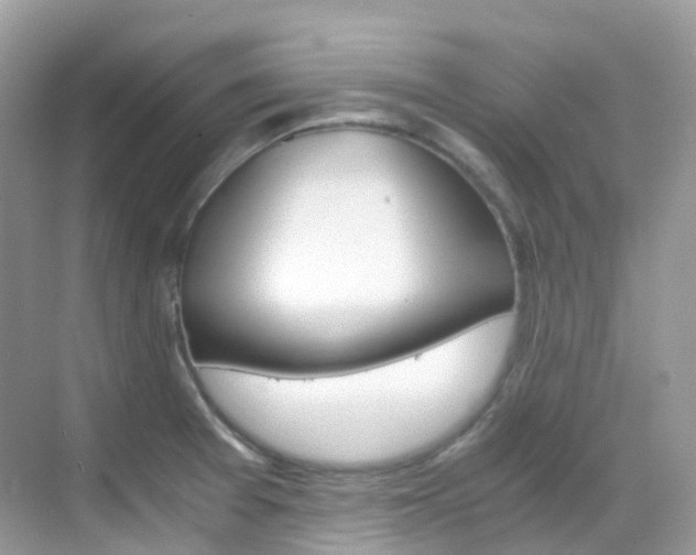 X0000069411377200605121038