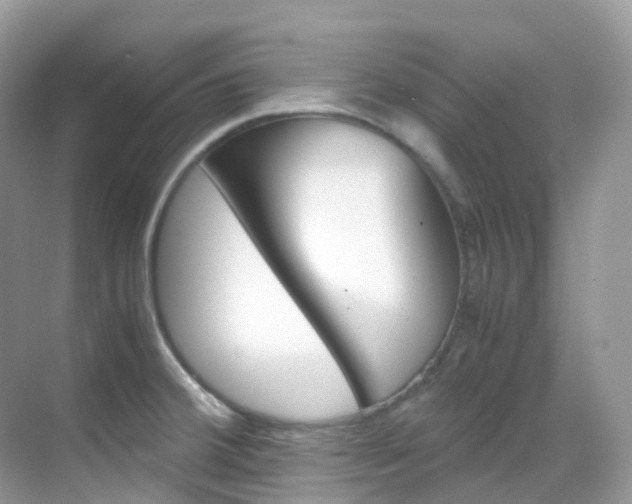X0000069411380200605121038